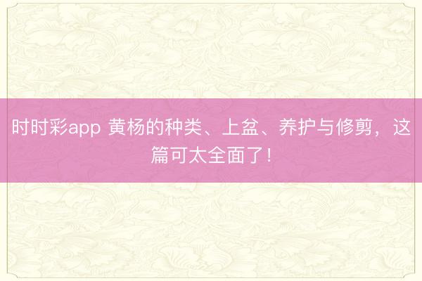 時時彩app 黃楊的種類、上盆、養護與修剪，這篇可太全面了！