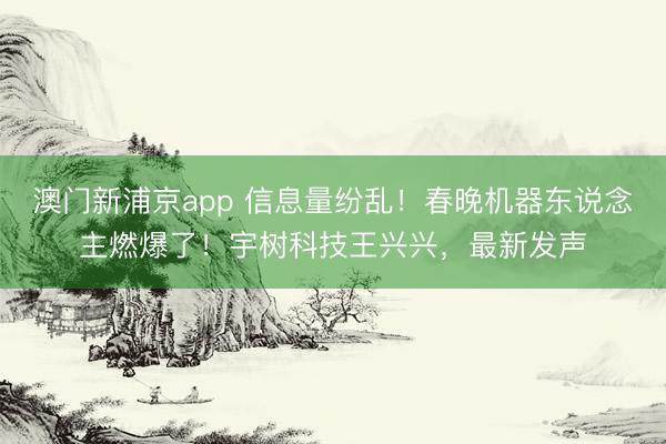 澳門新浦京app 信息量紛亂！春晚機器東說念主燃爆了！宇樹科技王興興，最新發聲