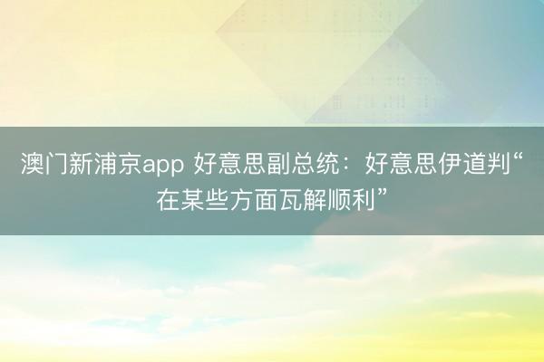 澳門新浦京app 好意思副總統：好意思伊道判“在某些方面瓦解順利”